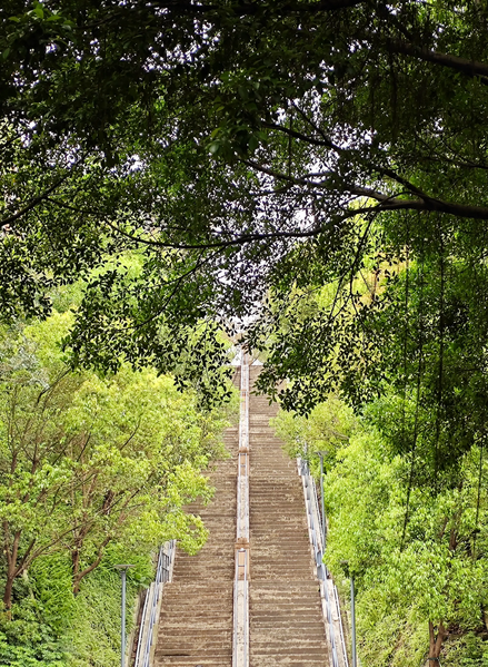 文件:百步梯 远.webp